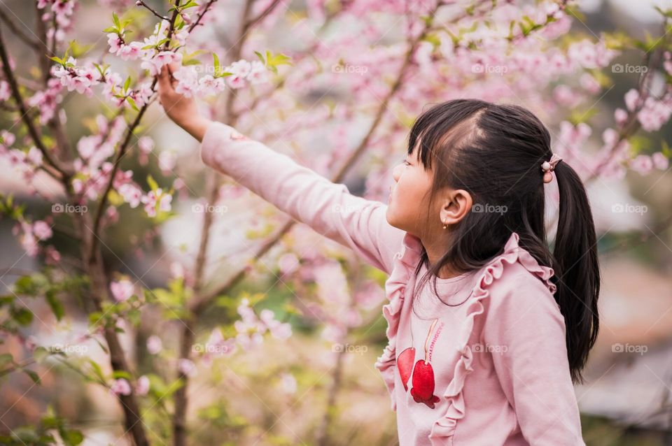 Spring is the time for kids to see, feel and experience the beauty of nature. A little girl experiencing the peach blossom.