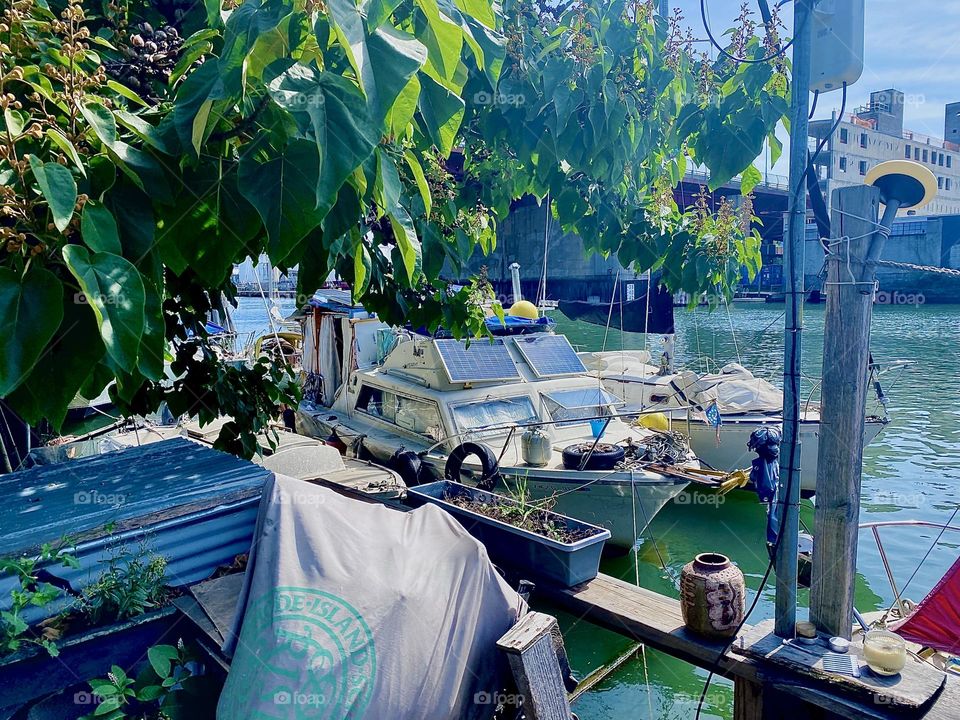 Through the dense foliage of the tree we can see the boats of “Newtown Creek” by the “Pulaski Bridge”. We are standing on the handmade wooden veranda that serves as a meeting place sometimes for parties and get togethers. 2023. Hypnotic Productions