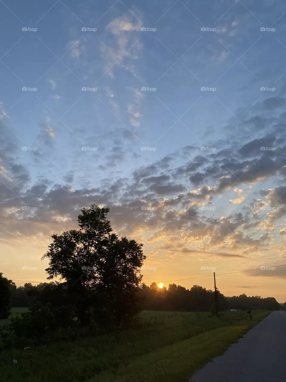 Sun rise 