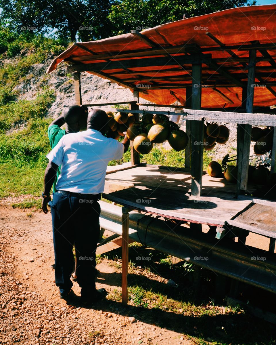 Coconut Stand