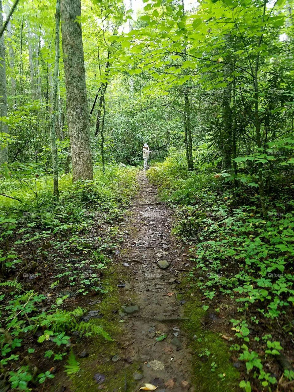 Green Trails