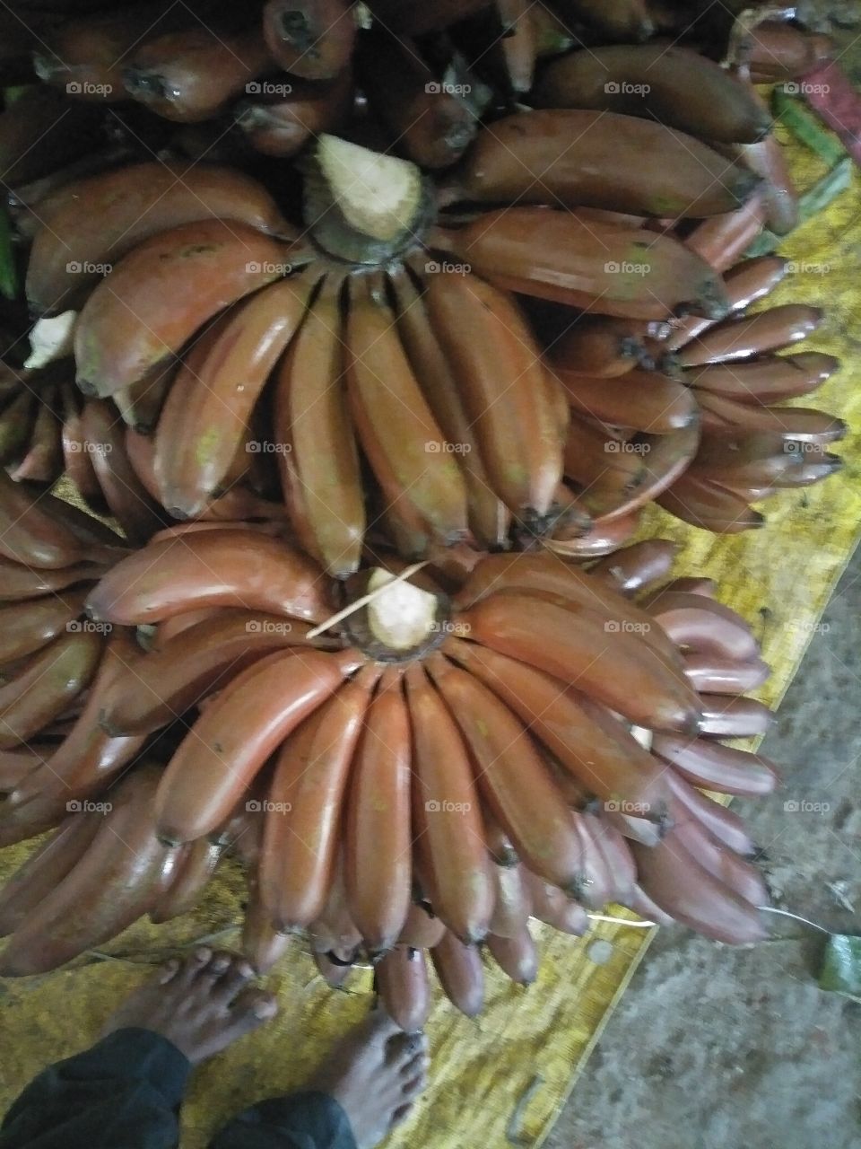 Red banana