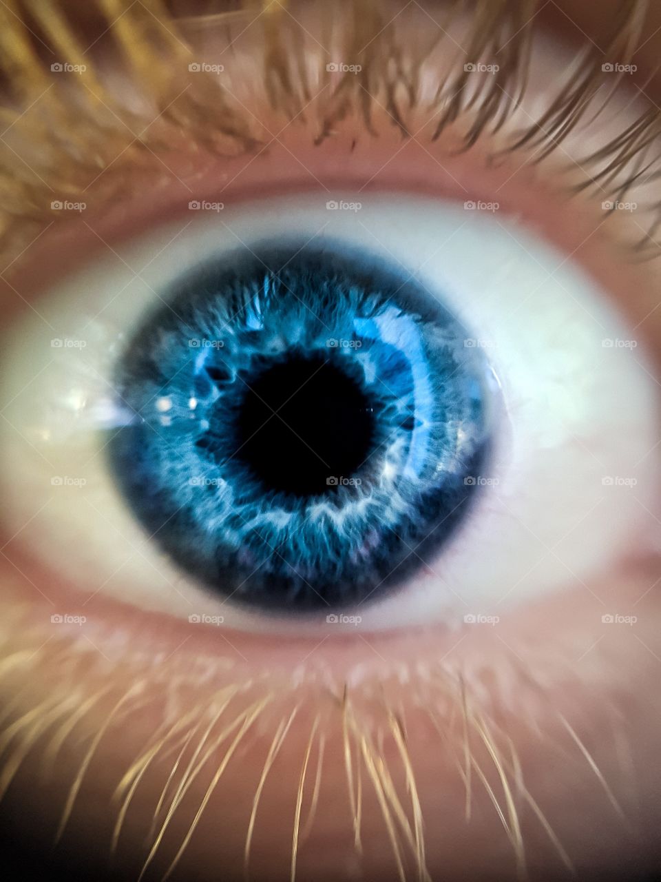 Closeup eye