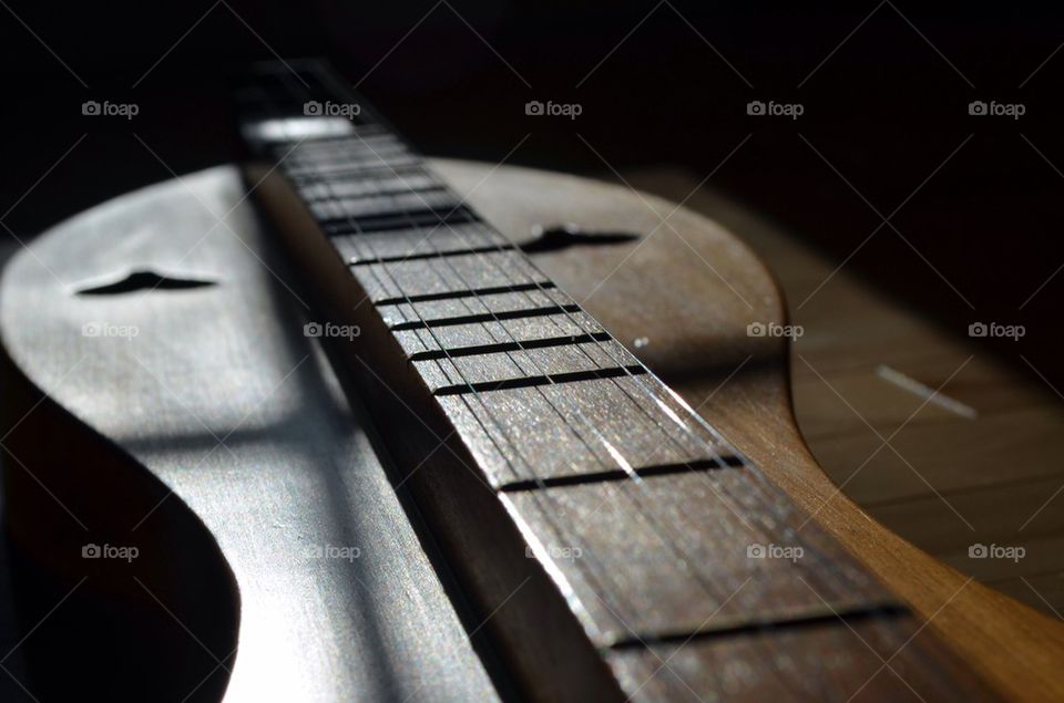 Stringed Instrument