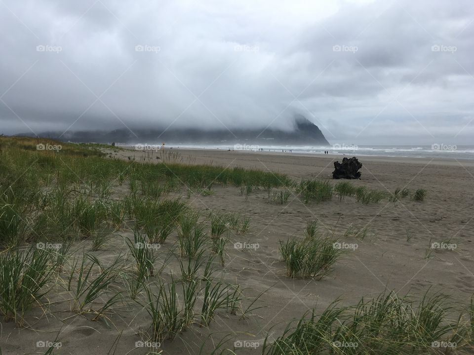 Foggy morning at Cannon Beach, OR