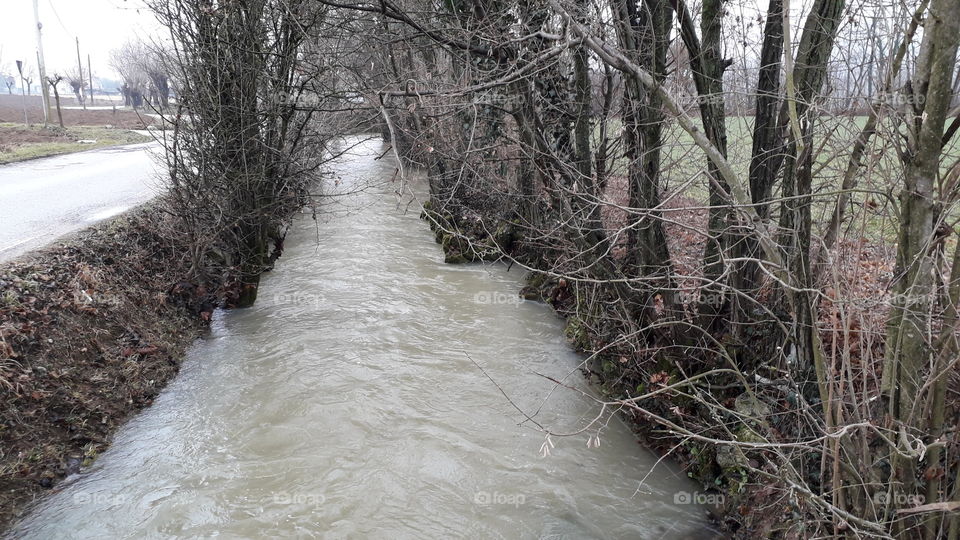 winter grey day in the country