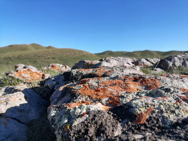 Stone grass slope