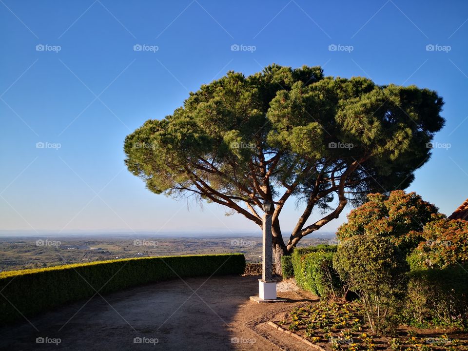 Garden, Penedo Monteiro, Castelo de Vide, Portugal