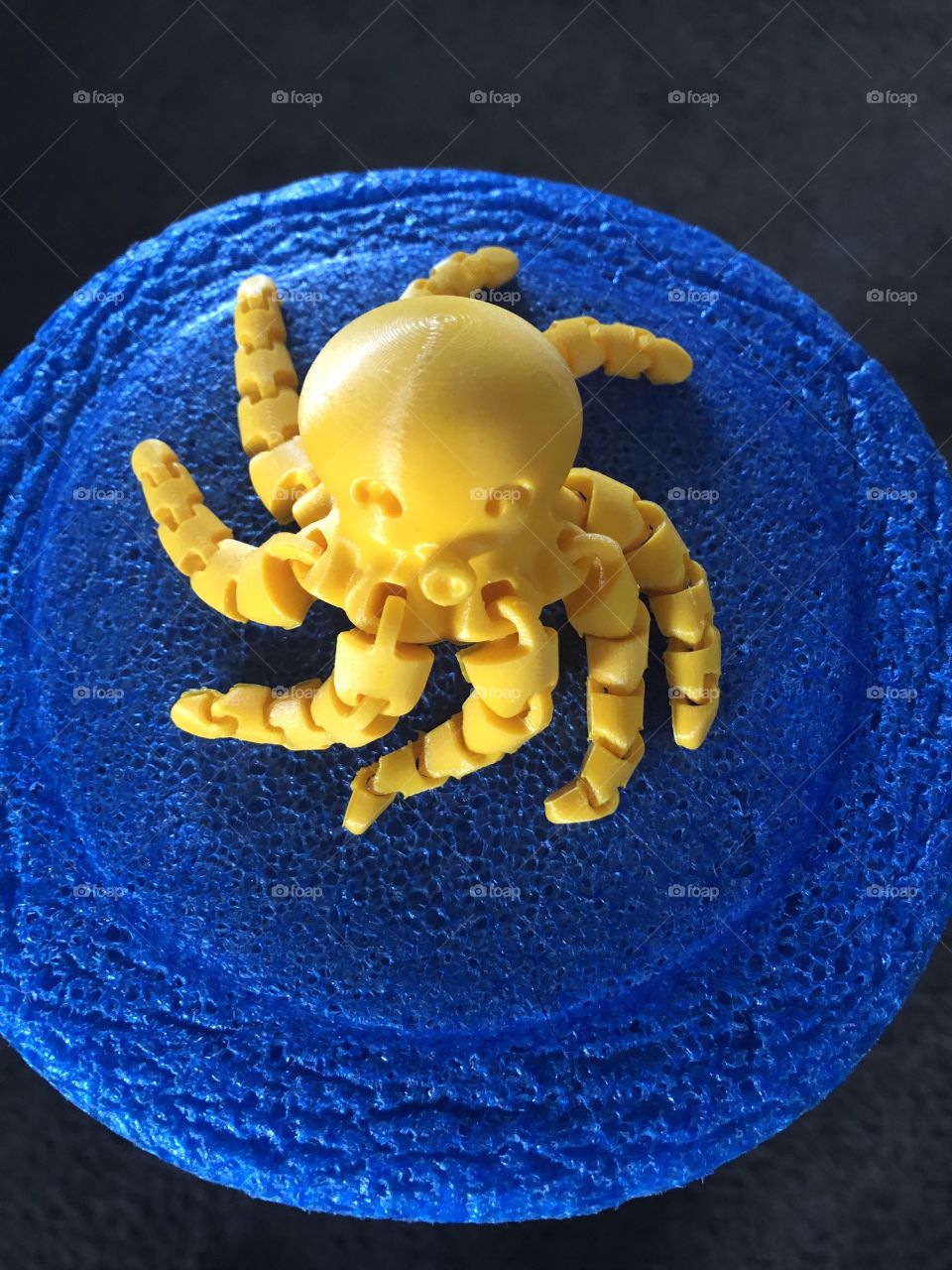 3D printed Octopus artwork