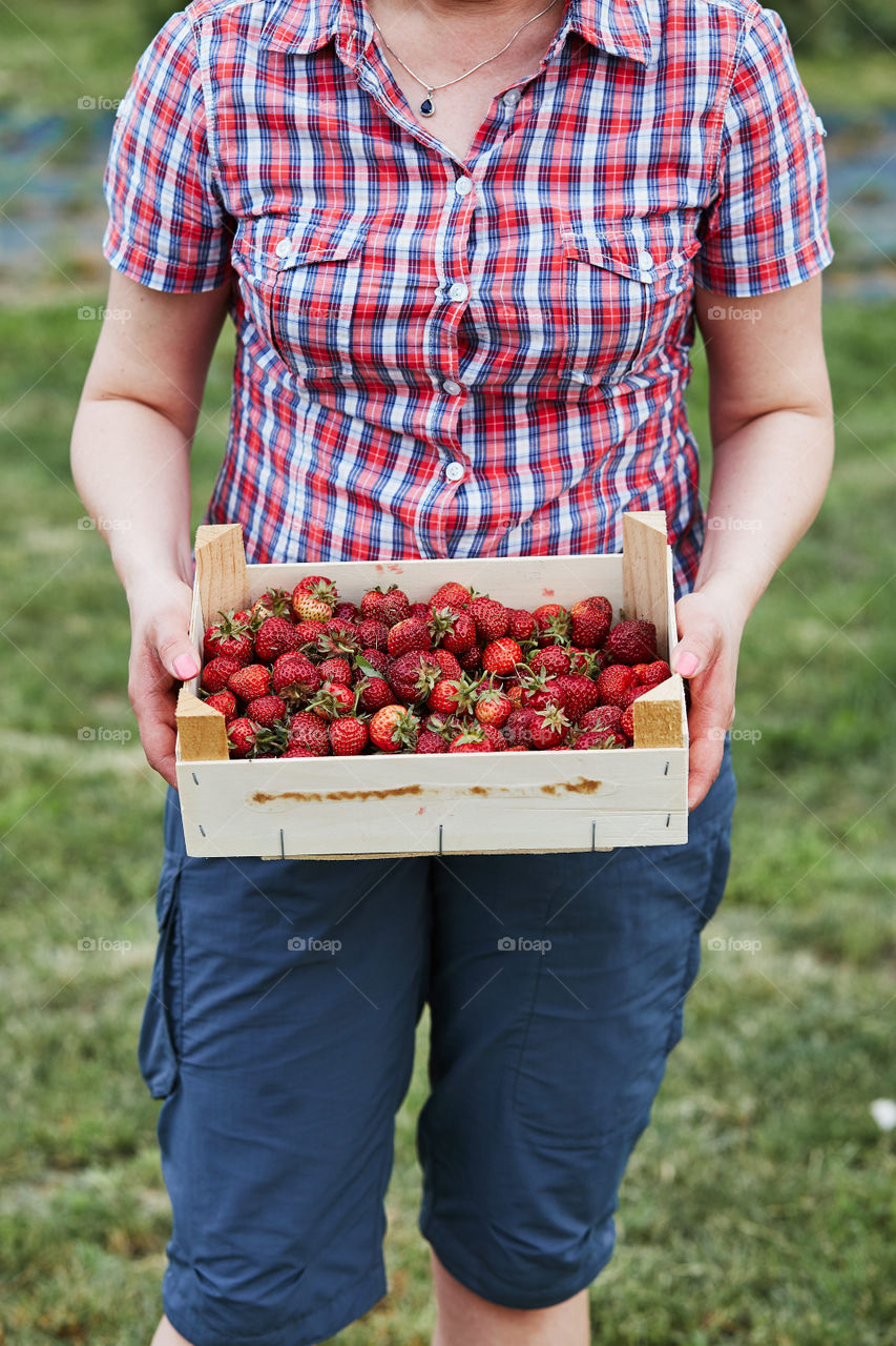 Woman holding container filled with fresh strawberries picked in home fruit garden. Candid people, real moments, authentic situations