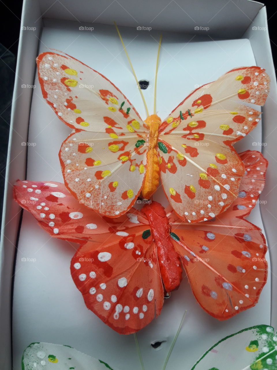 beautiful butterfly decoration inside of the house