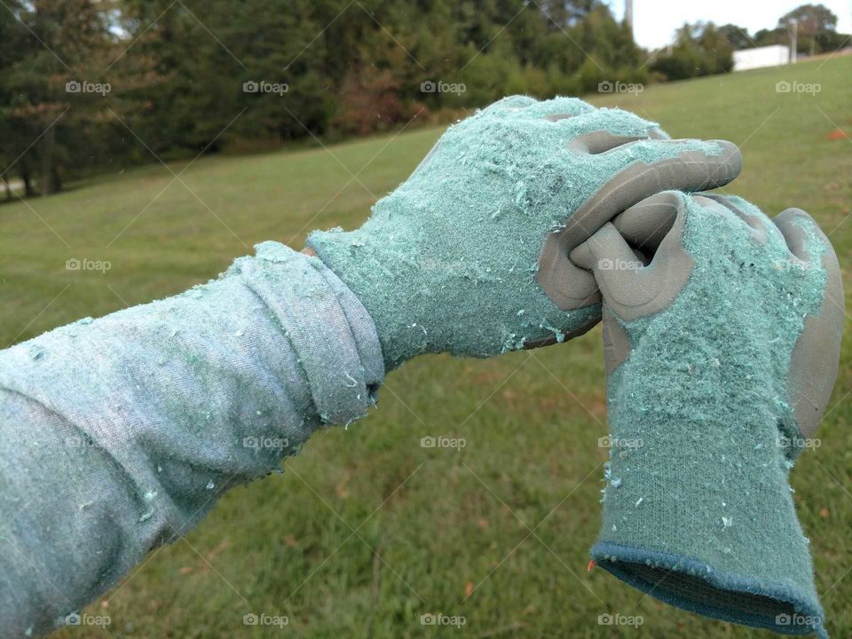 Park, Outdoors, Grass, Nature, One