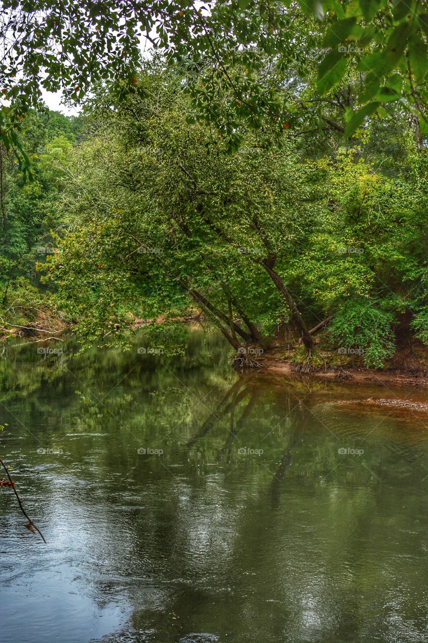 Etowah river reflection