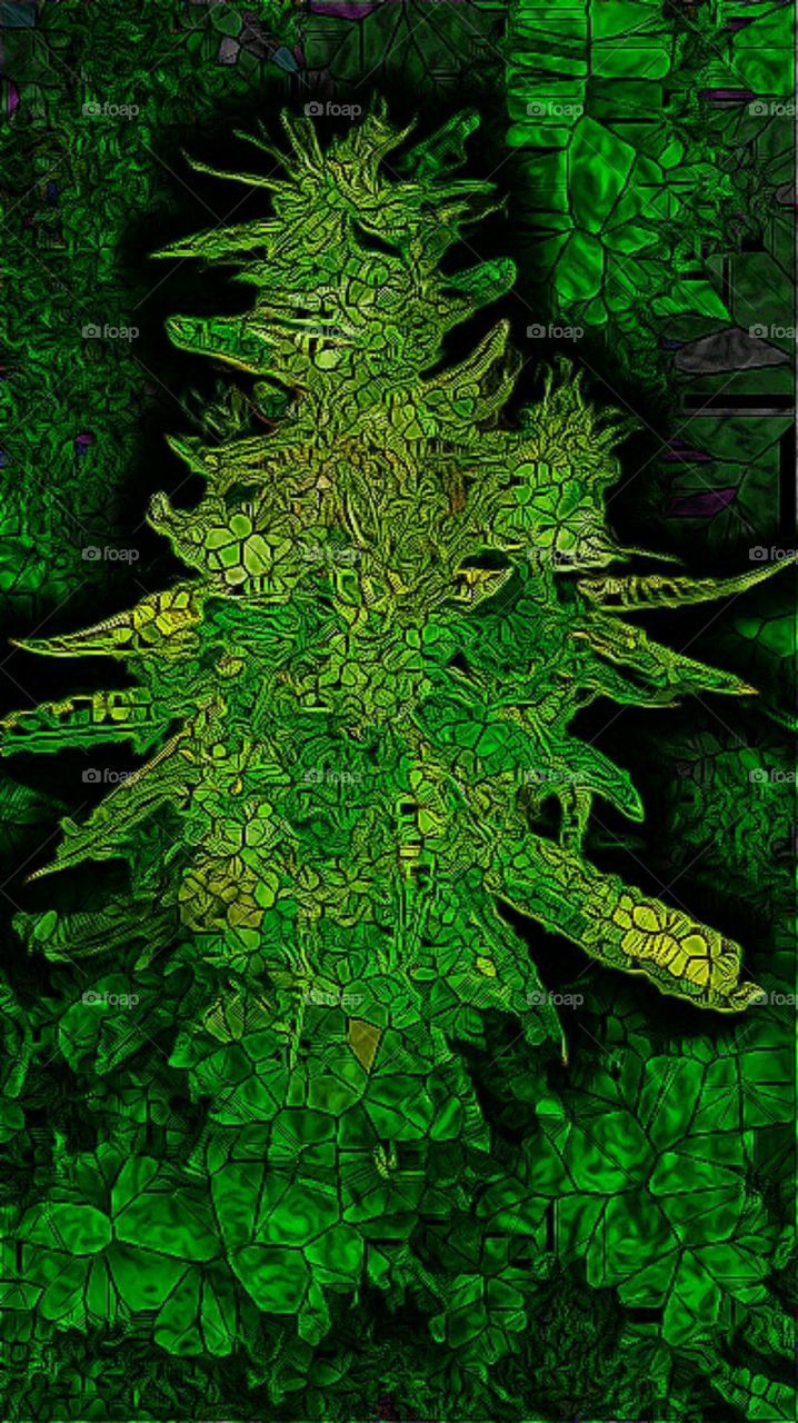 stained glass marijuana bud