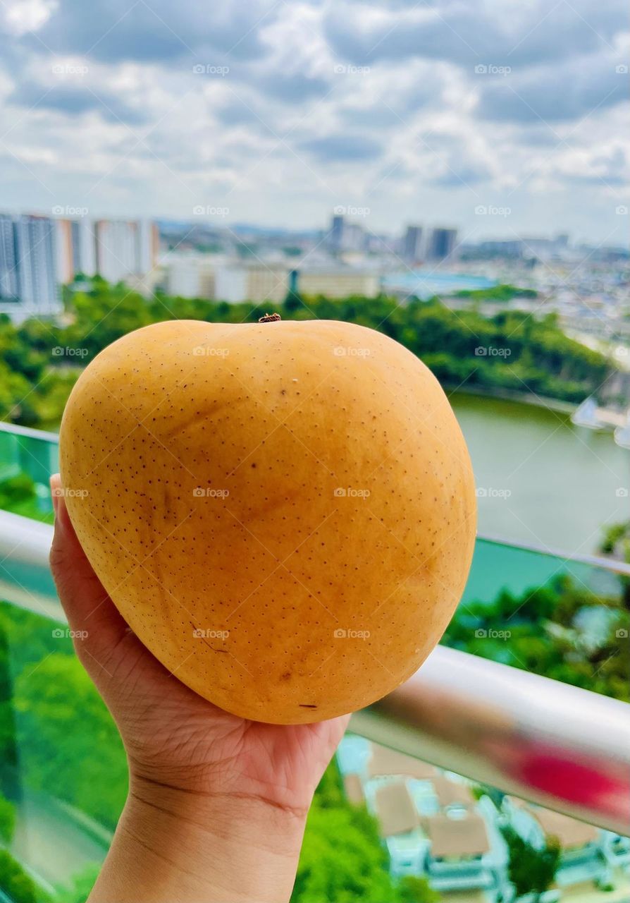 Mango in the city for this summer season