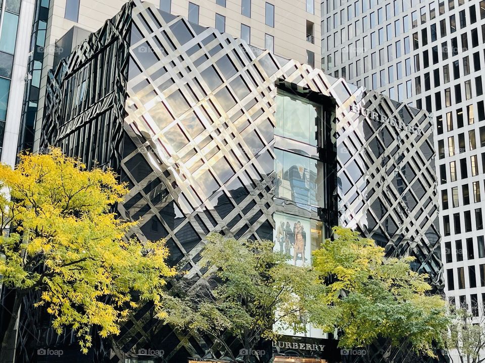 Building reflections 