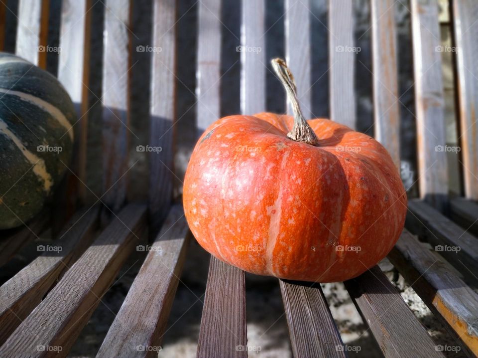 orange color pumpkin