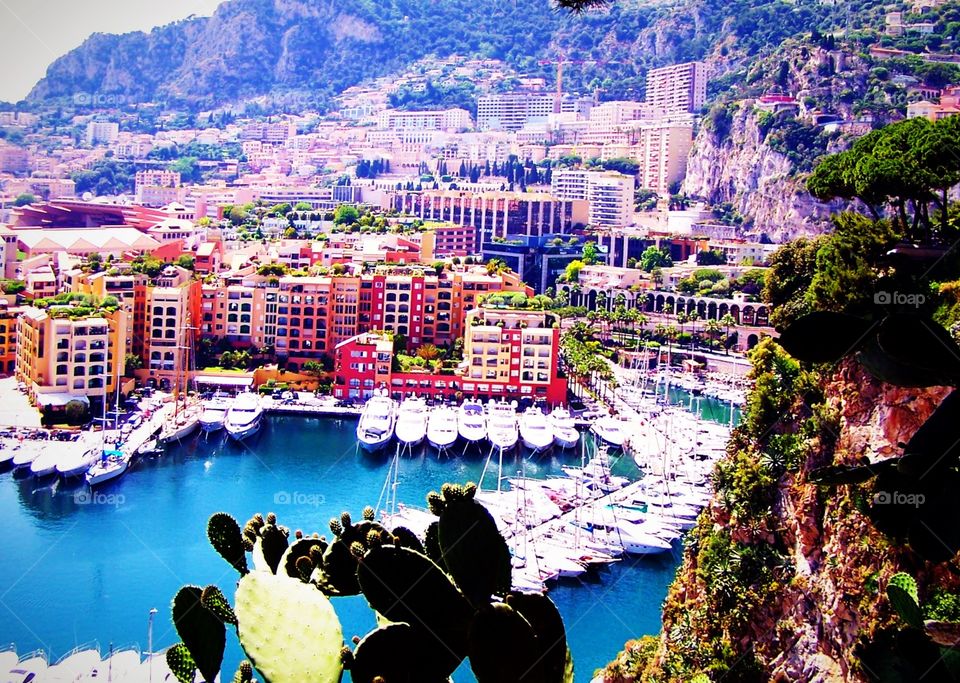 View of Monaco Bay in Monaco during the World Grand Prix