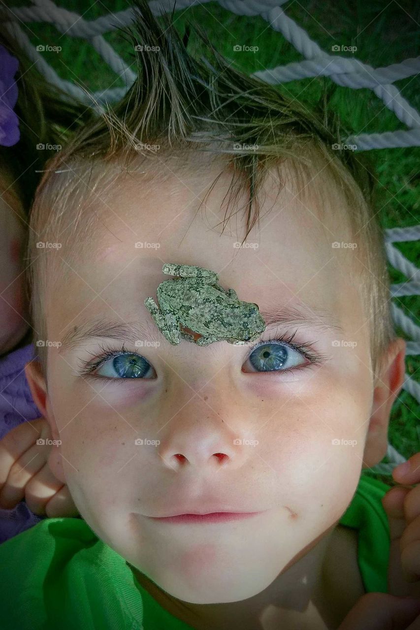 Close-up of a frog on boy's head