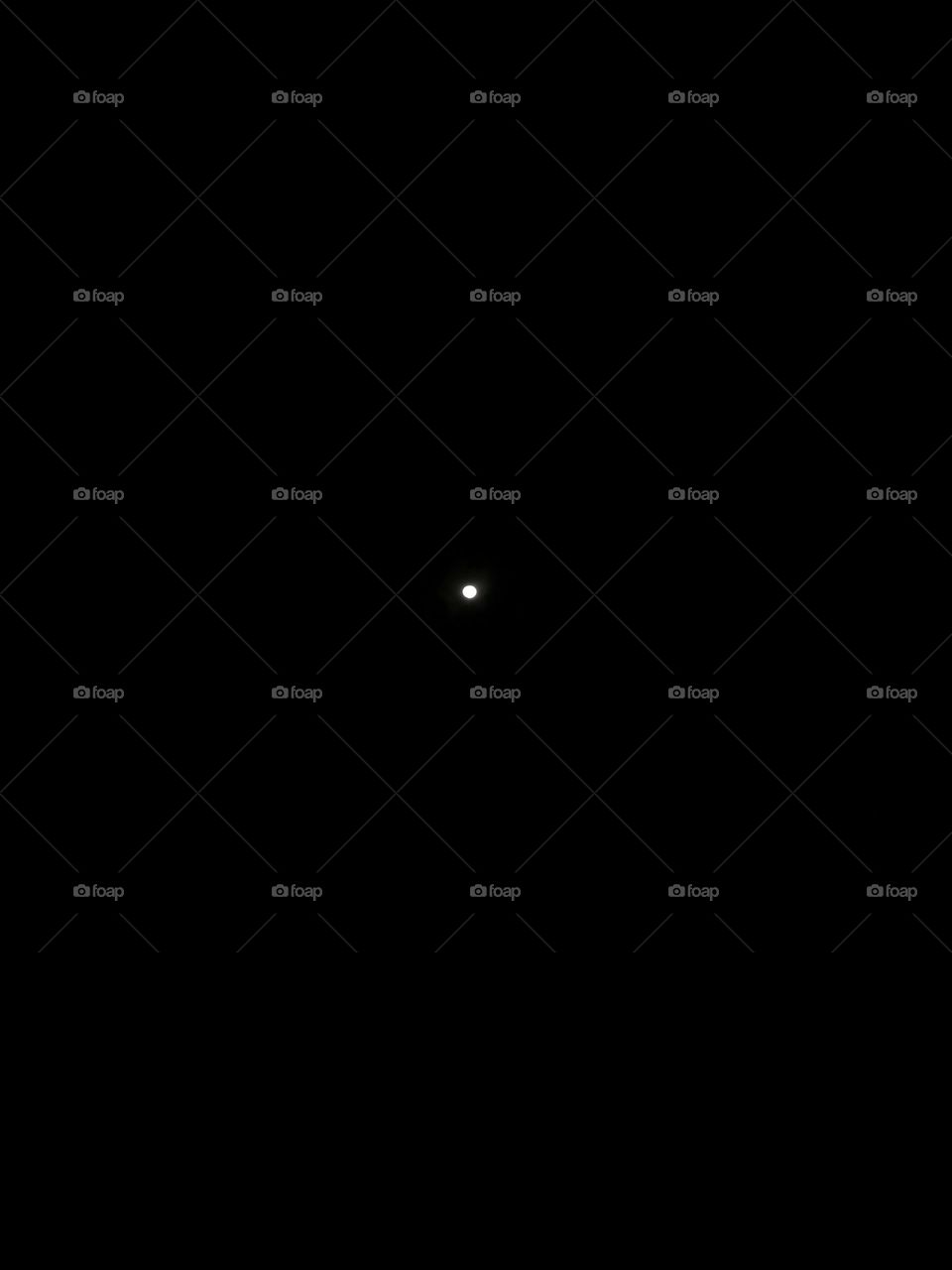 moon in the night picture.