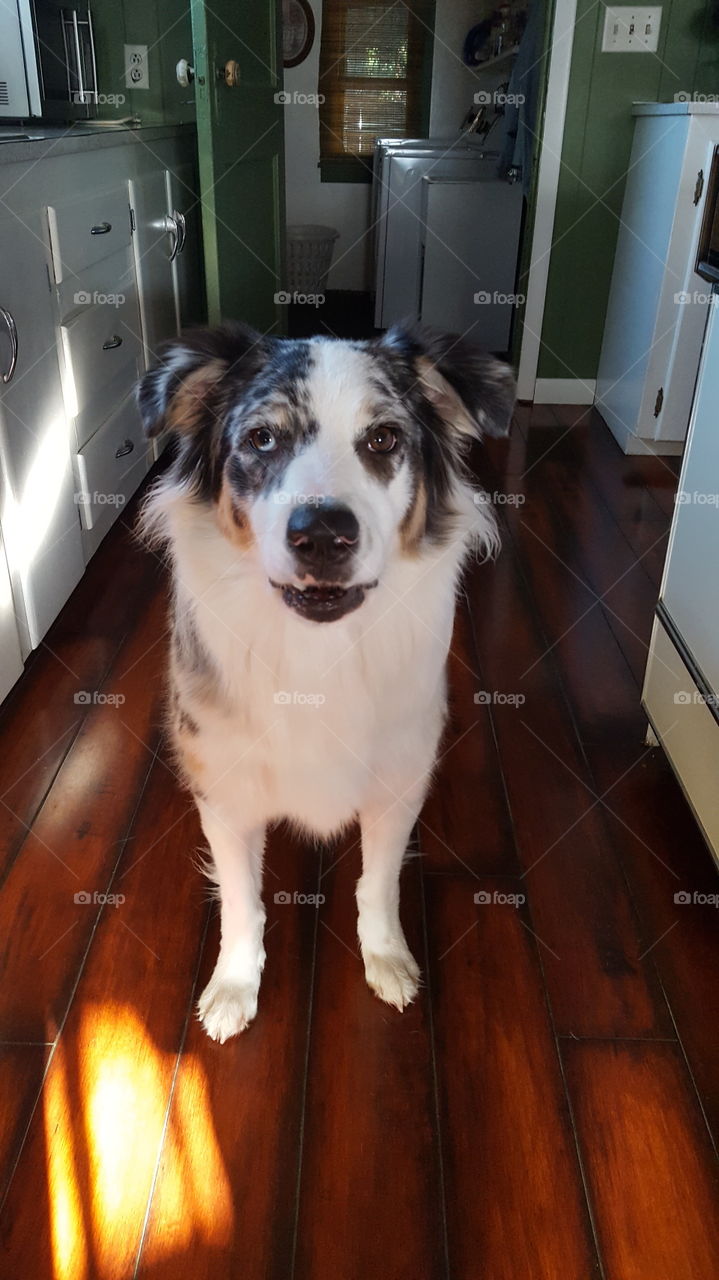 posing for a picture