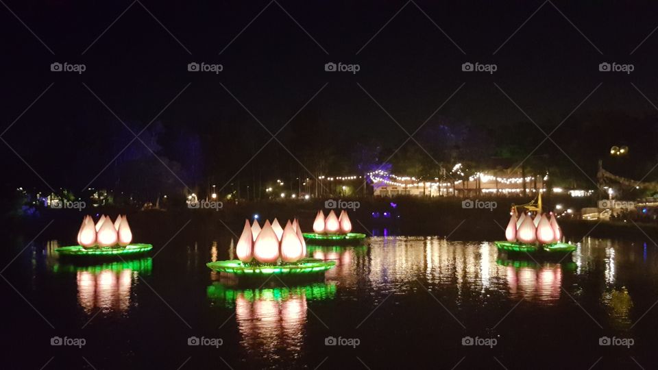 Flowers light up the night during Rivers of Light at Animal Kingdom at the Walt Disney World Resort in Orlando, Florida.