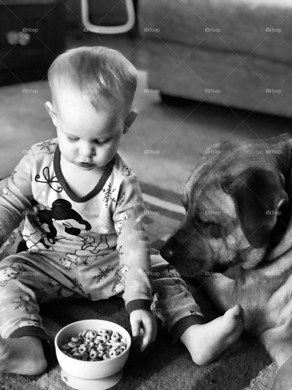 A friendship with some healthy, tasty Cheerios. Just a girl and her dog, a dogs favorite, food! 