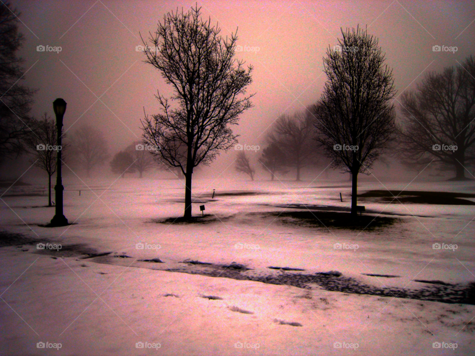 snow winter sunset lamppost by vincentm