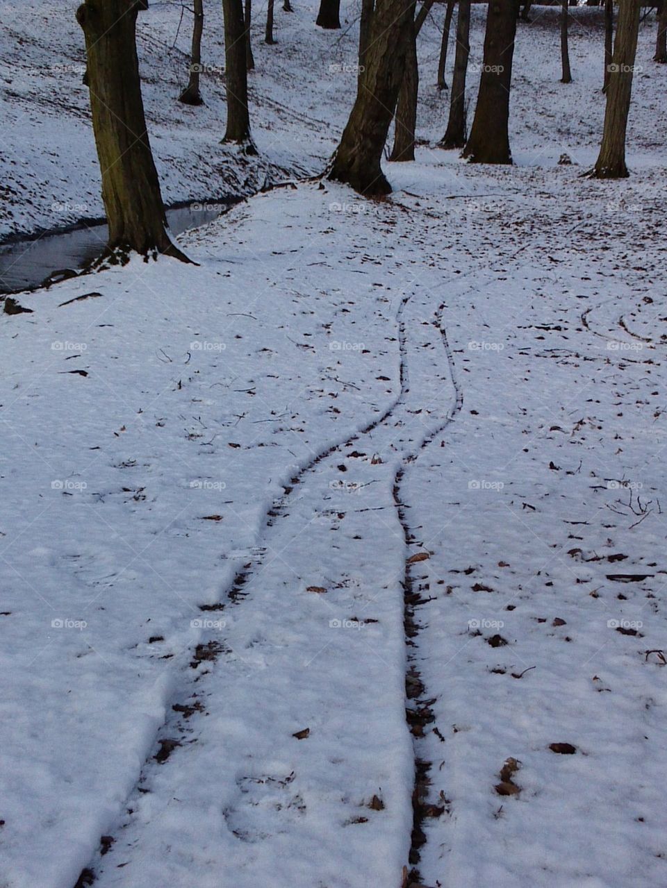 vanishing trail