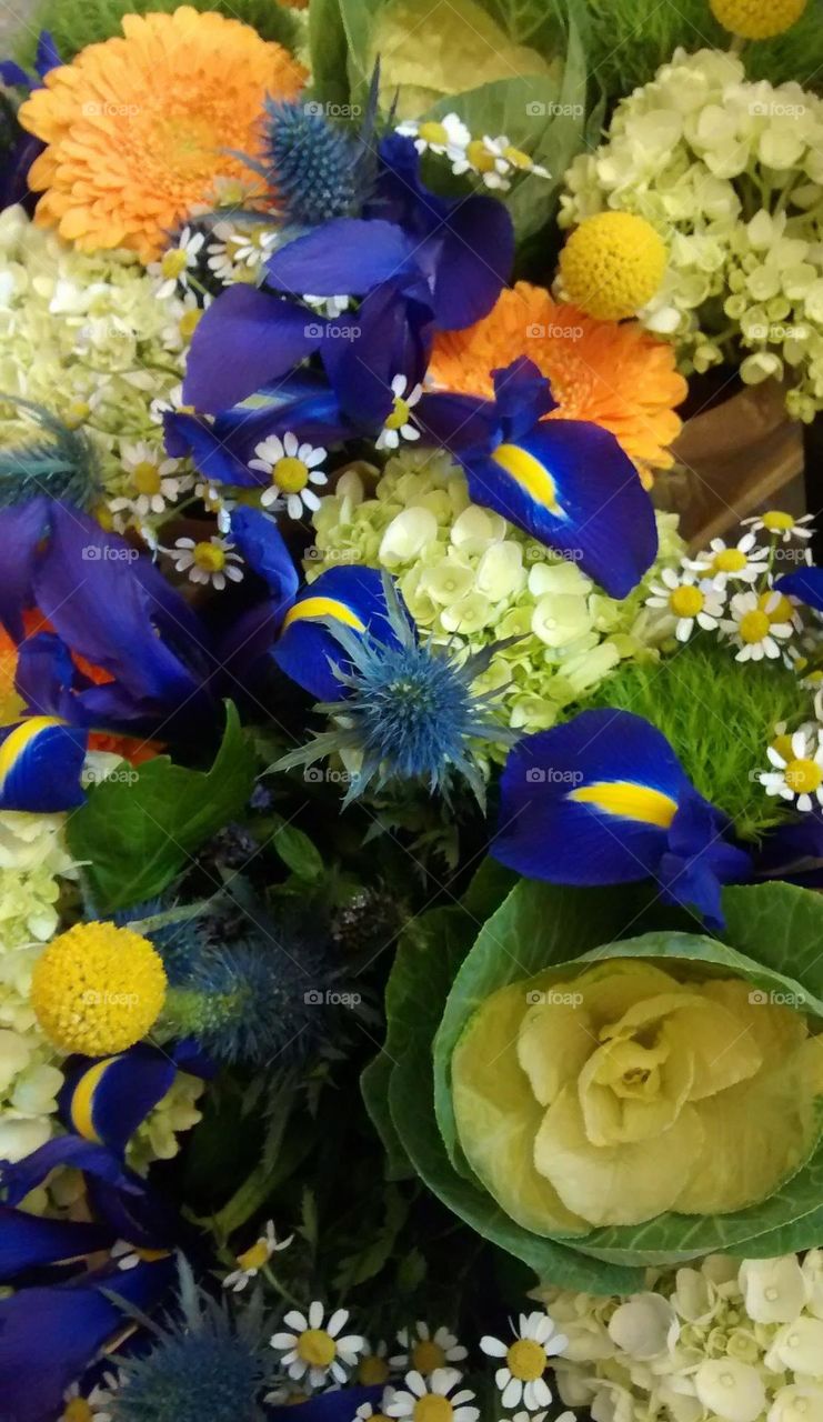 Floral Arrangement Indoors