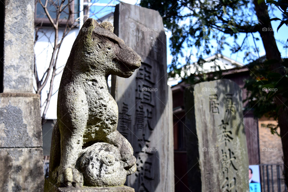 Fox statues at a small shrine in nakano-ku, Tokyo. ( Siratama inari shrine )