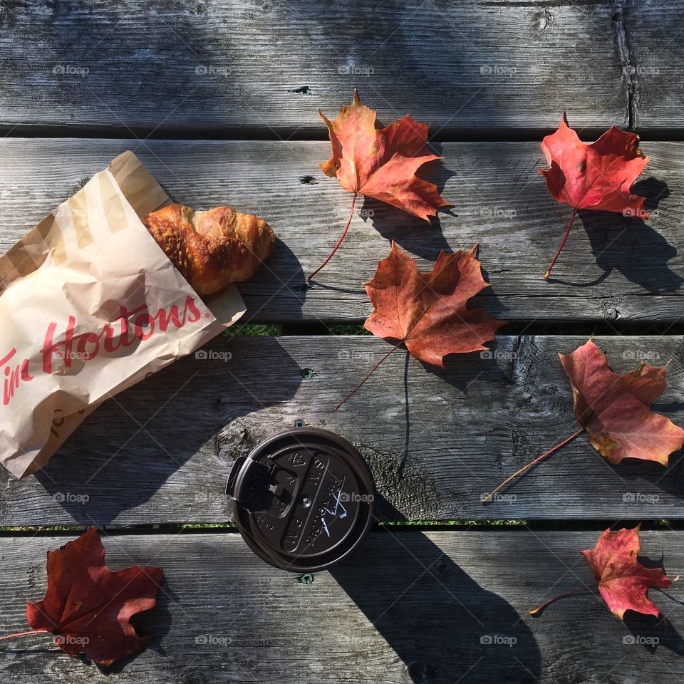 Fall in Tim Hortons 