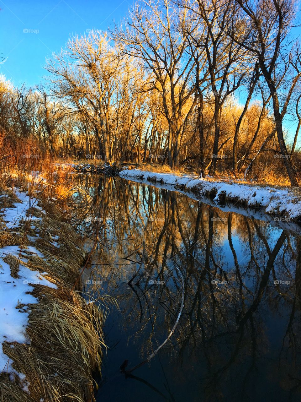 Beautiful creek side Winter reflections at sunset 
