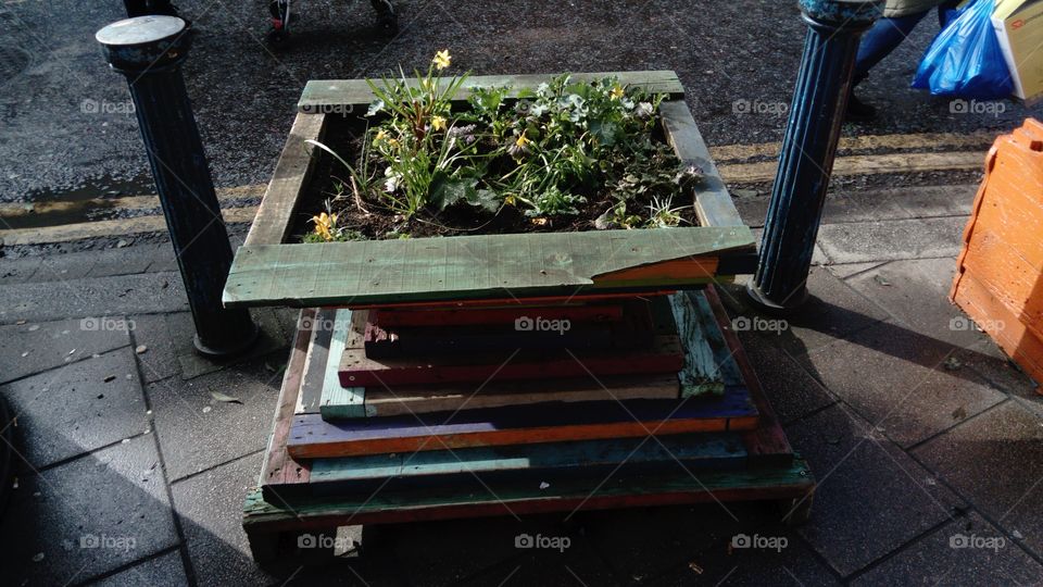 Making streets more colorful and green. Flower box and flowers in Brixton, South London