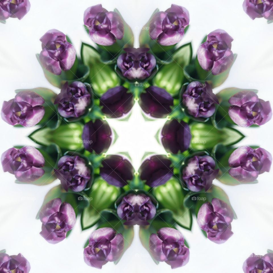 flower caleidoscopio