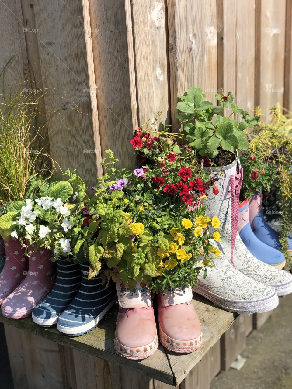 Flowers in old boots