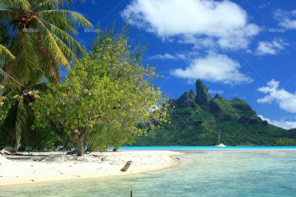 Bora Bora Paradise 