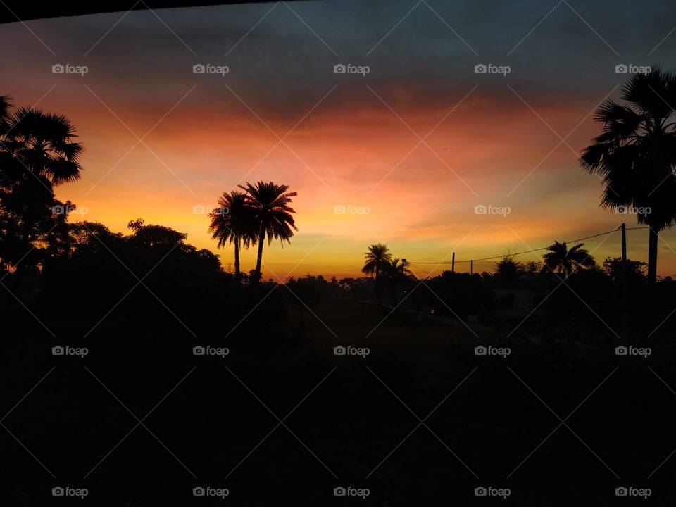 Beautiful morning beging