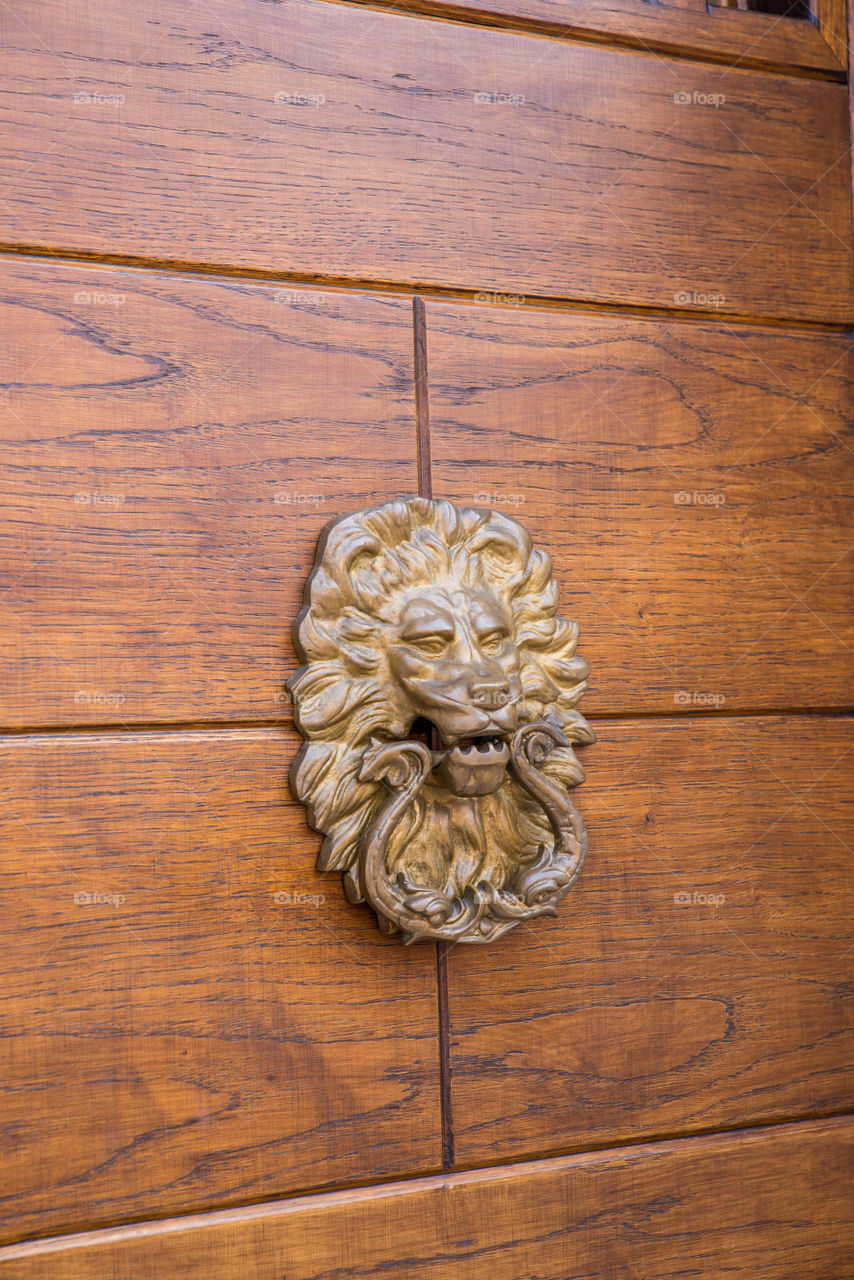 Lion head detail on a door