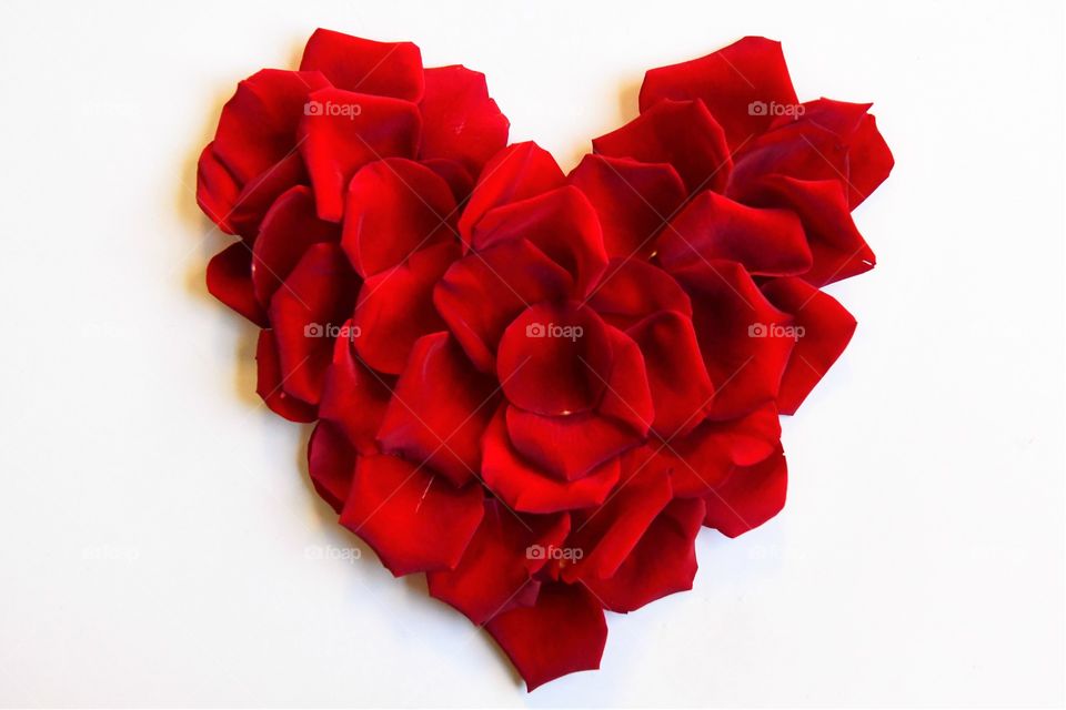 Red roses petals heart