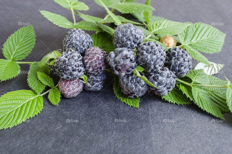 Black Raspberries