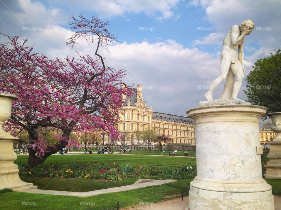 Spring in Paris 