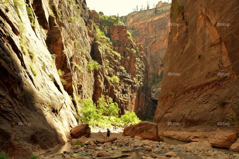 Zion Narrows 