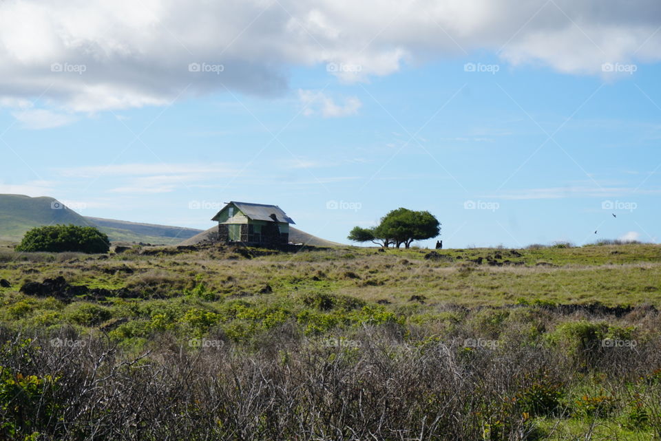house in the field