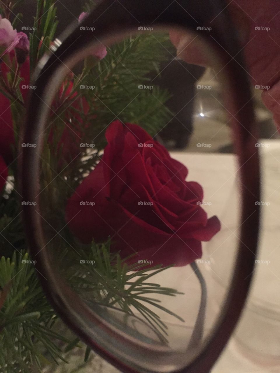 Framed rose