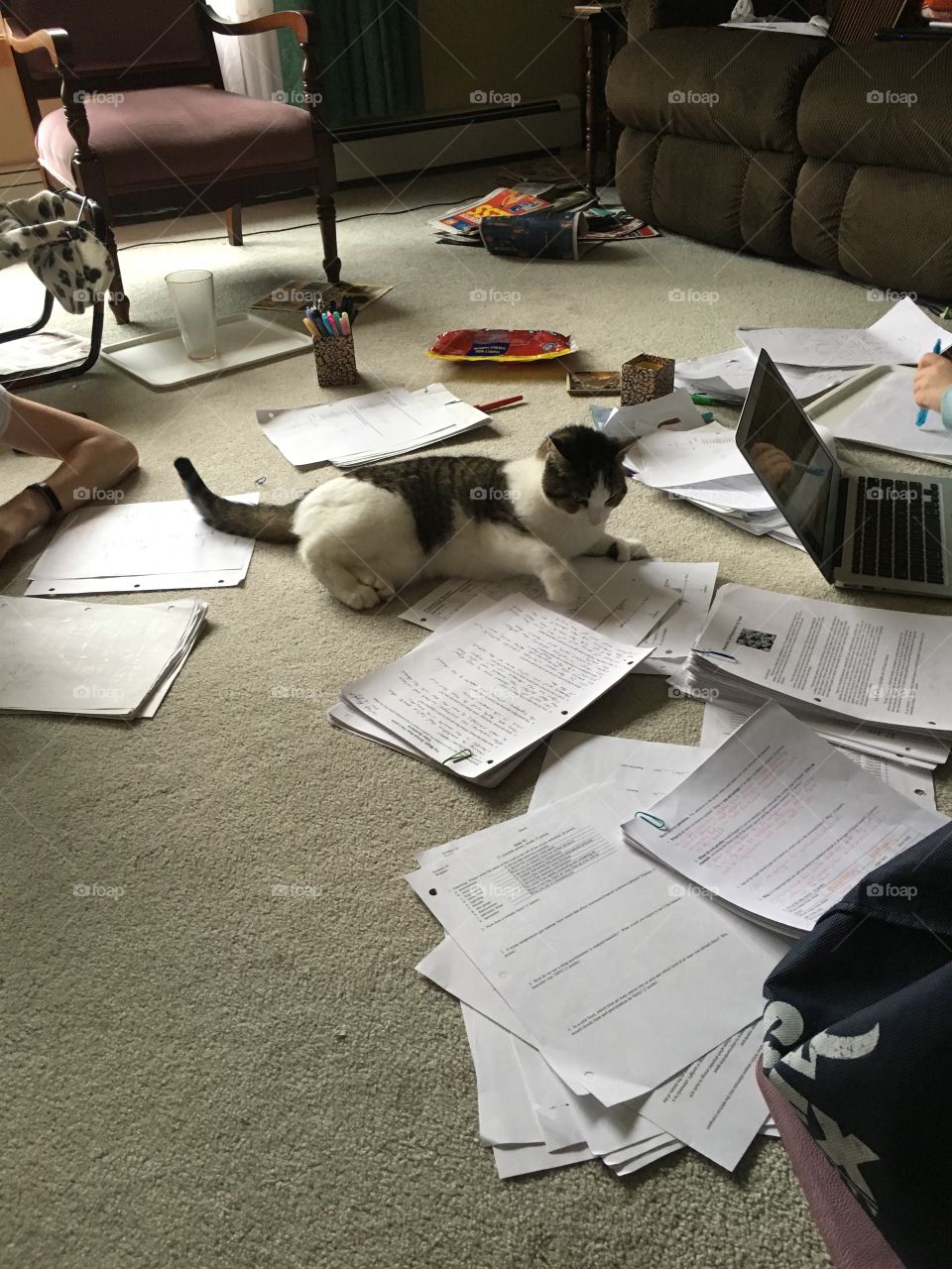 Teachers little helper