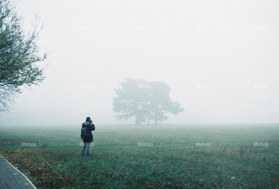 Photographer make shot of tree in fog 