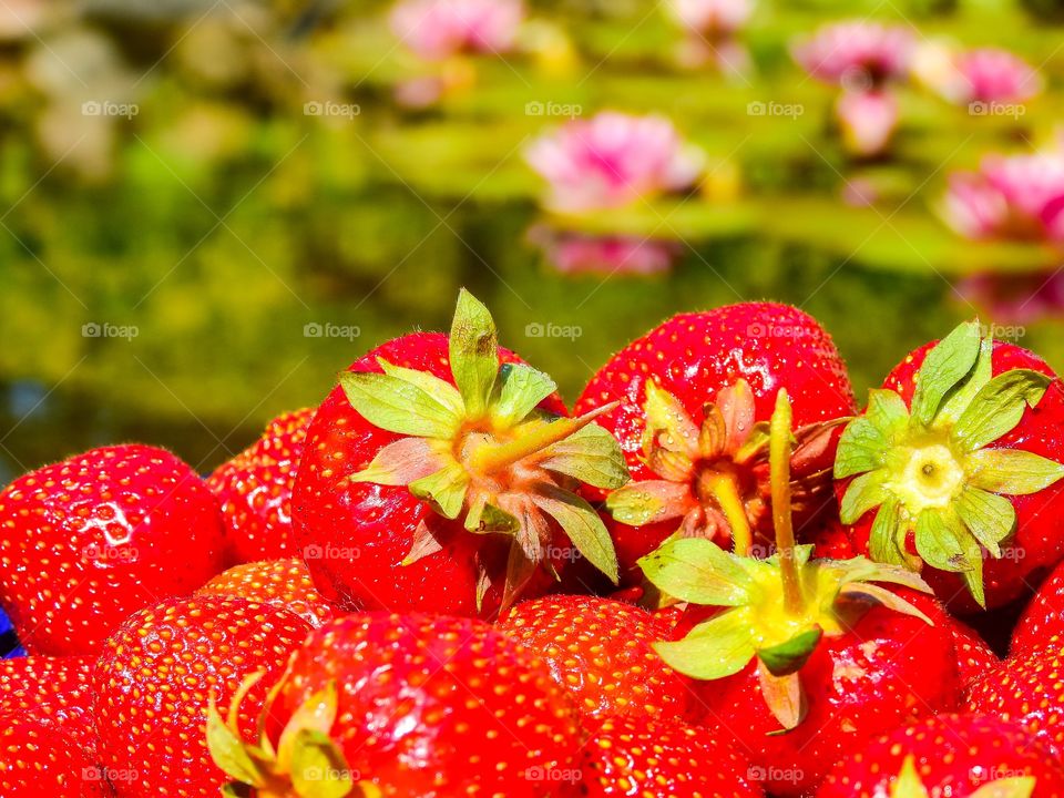 Strawberries