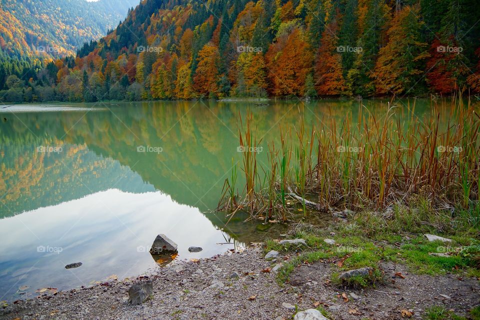 Miroir des couleurs d'automne au lac de Vallon (Alpes du Nord, France)