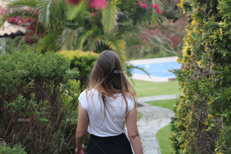 Nature, Tree, Outdoors, Summer, Flower